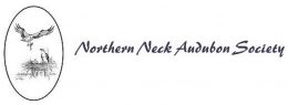 Northern Neck Chapter of the National Audubon Society