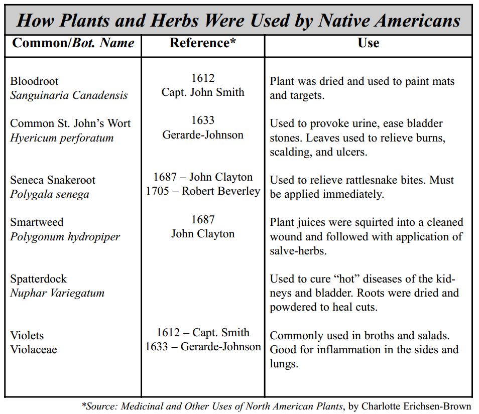 Native-American-Plant-Usage