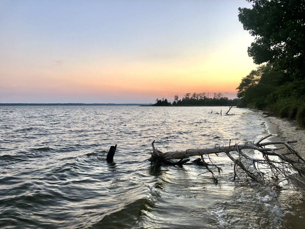 Rappahannock River at Belle Isle State Park