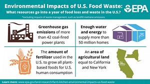 New EPA report reveals large climate and environmental impacts of U.S food waste