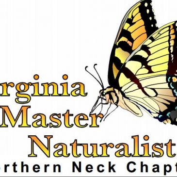 Northern Neck Master Naturalists