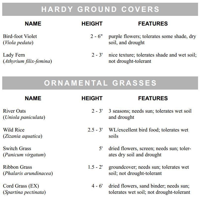 hardy-ground-covers2