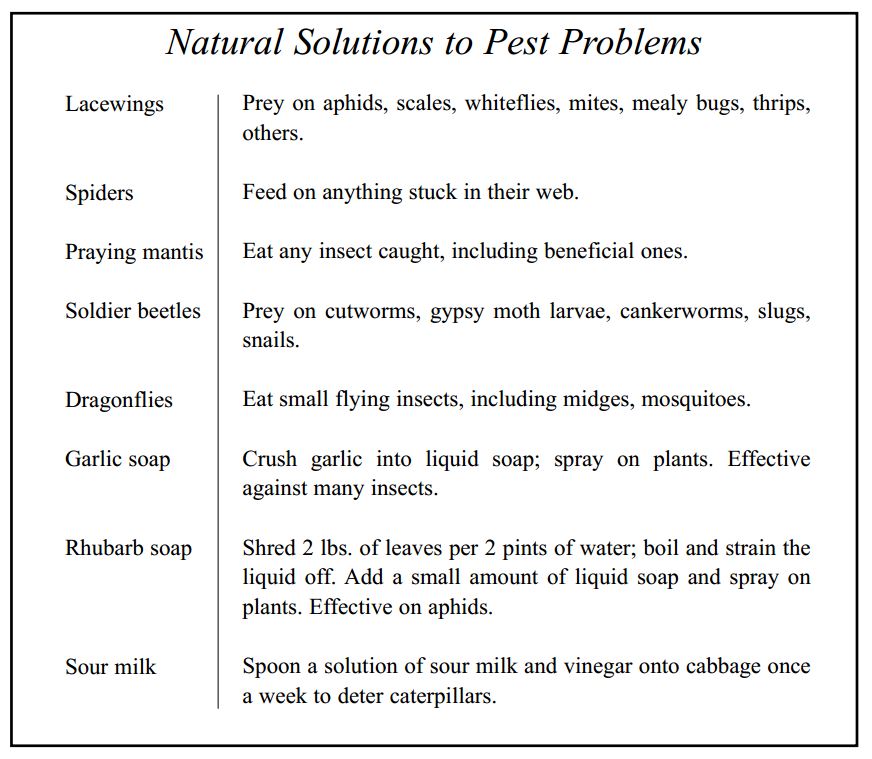 natural-solutions