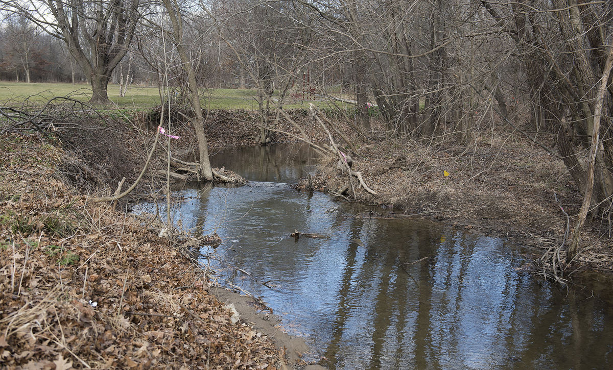 Changes to Project at Woodsboro Park Northern Neck Green
