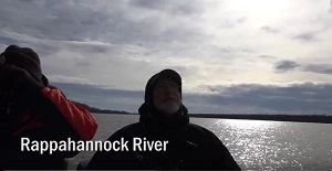Recent Bald Eagle Survey on the Rappahannock