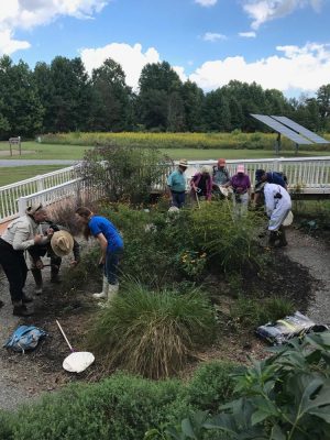 Interested in becoming a Northern Neck Master Naturalist? Find out more . . .