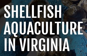 How to Start a Shellfish Aquaculture Operation in Virginia