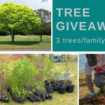 Free Tree Giveaways in Lancaster & Warsaw