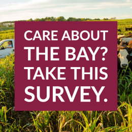 Important Survey for Local Producers