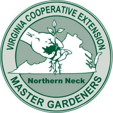 Registration Open for March 20 Gardening in the Northern Neck Seminar
