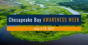 Chesapeake Bay Awareness Week