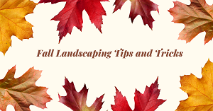 River Friendly Fall Landscaping Tips