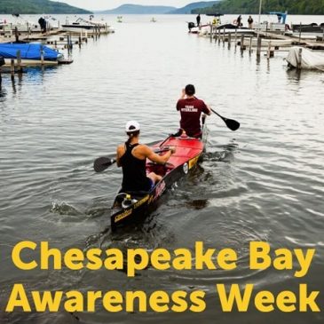 Chesapeake Bay Awareness Week 2022