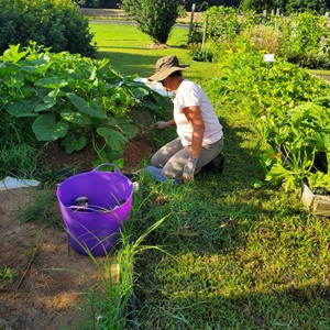 Garden Basics Classes