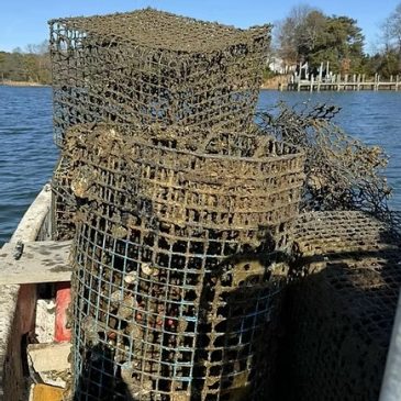 NAPS Ghost Pot Removal & Loss Prevention Program