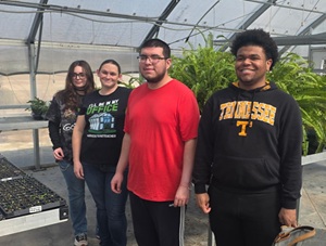 Bloom & Grow Festival and Plant Sale