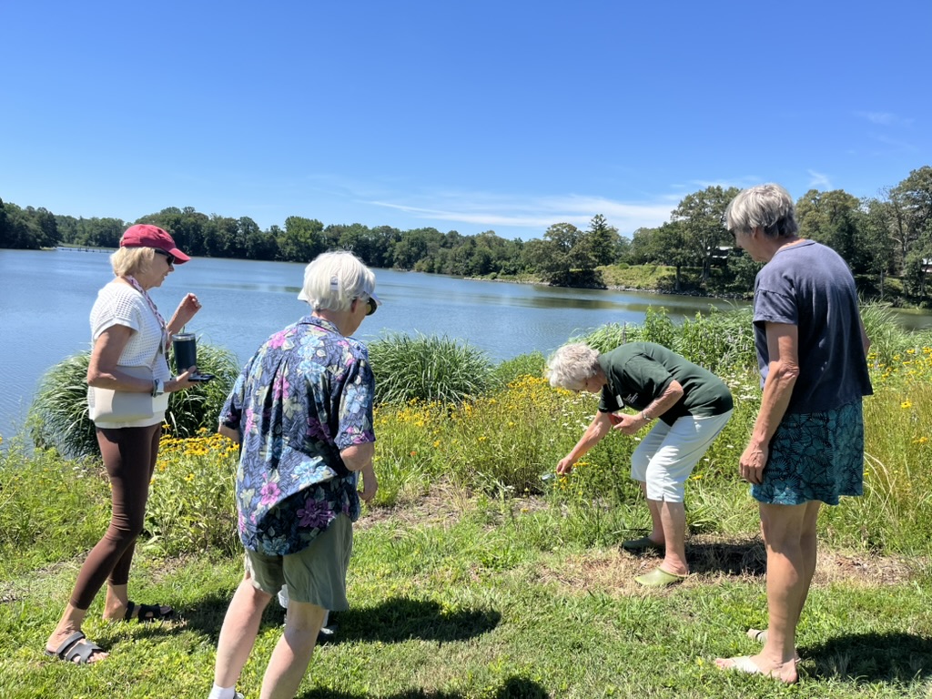 A photo of four women viewing shoreline plantings