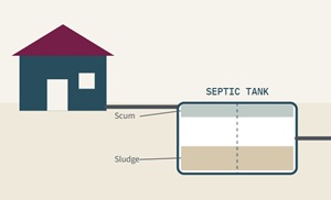 Septic Basics & Maintenance