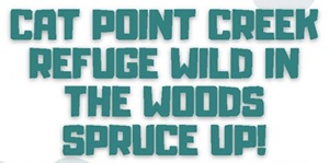 Cat Point Creek Refuge: WILD IN THE WOODS SPRCUE UP