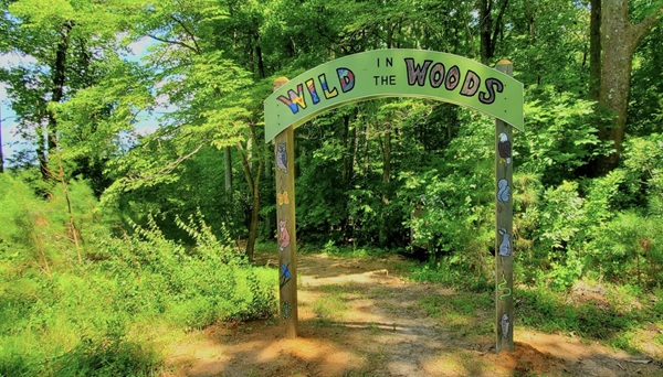 Wild in the Woods banner over a trail entering a wooded area