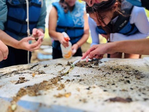 Virginia’s first-ever Environmental Literacy Strategic Plan